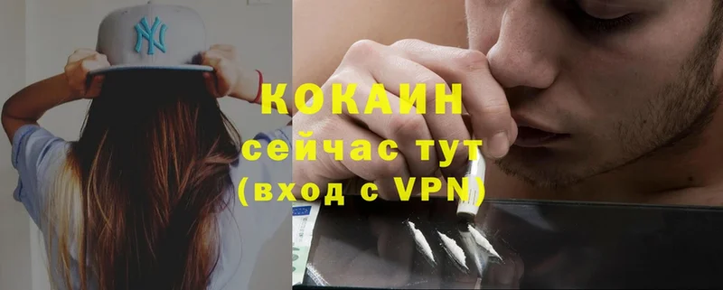 закладки  Бавлы  COCAIN FishScale 